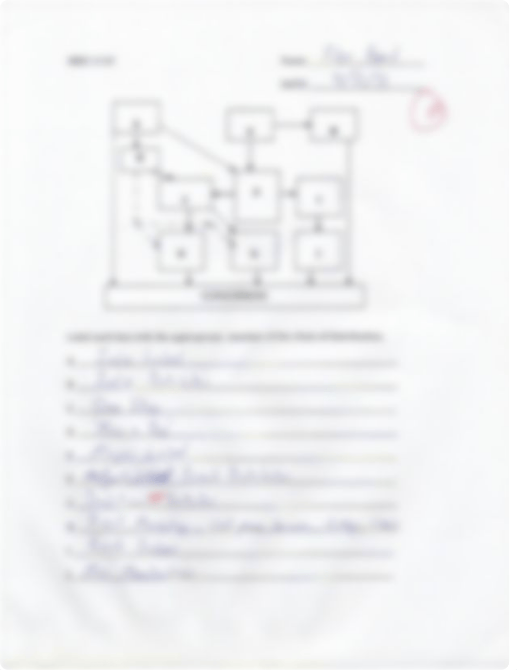 Distribution Flow Chart Quiz_du3k436j2vj_page1