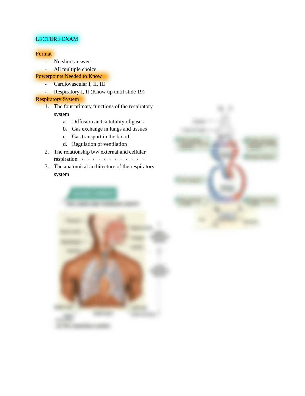 Physiology Exam 2 Review.pdf_du3pwghi29f_page3