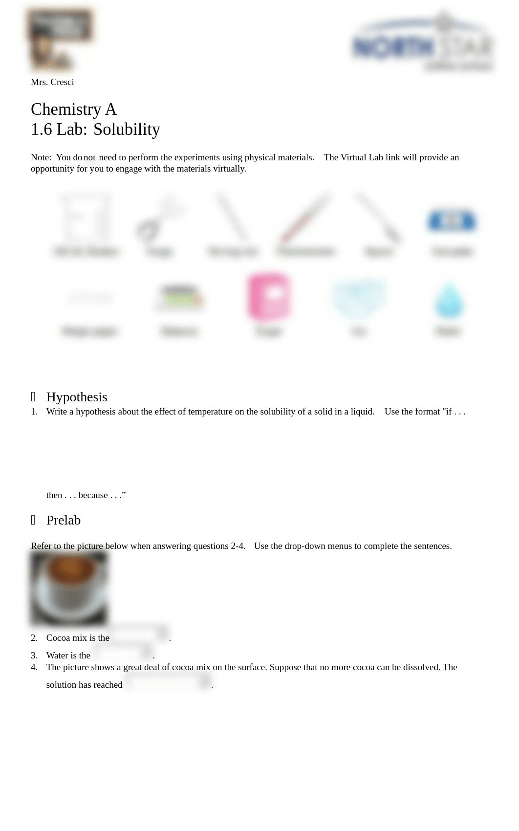 1.6 Lab- Solubility.docx_du45ufyg7mt_page1