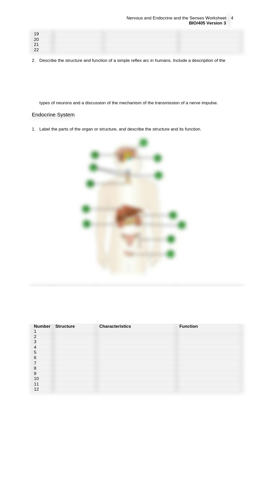 BIO405_r3_wk4_nervous_endocrine_systems_and_the_senses_worksheet.doc_du463gv710w_page5