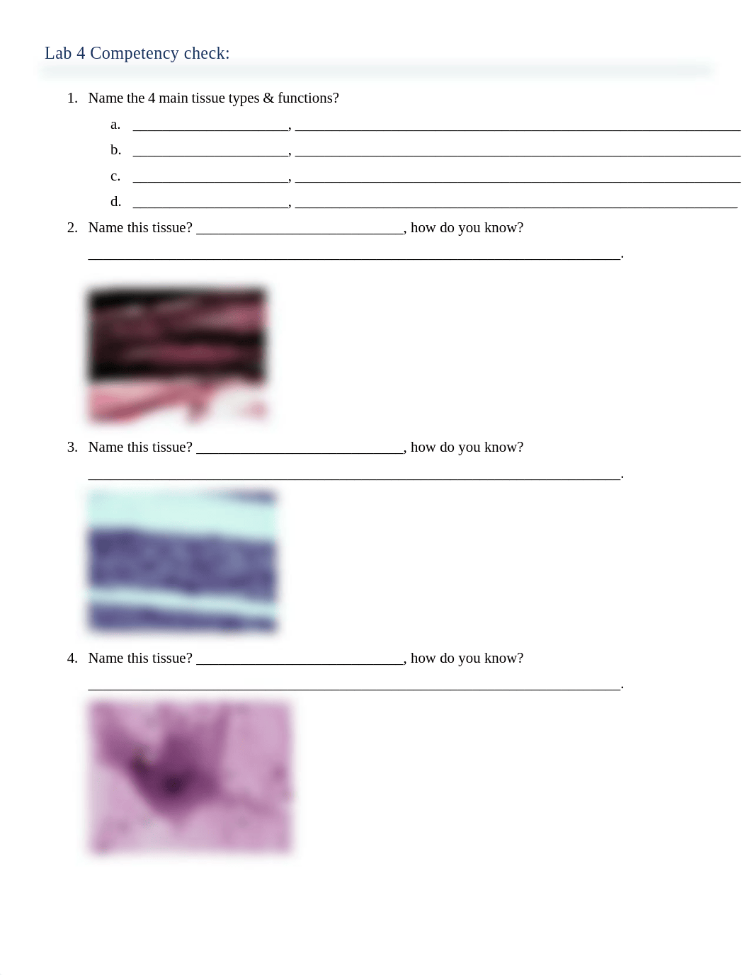 Lab Exam 1 Competency check bio 40.pdf_du49cxd5nn0_page1