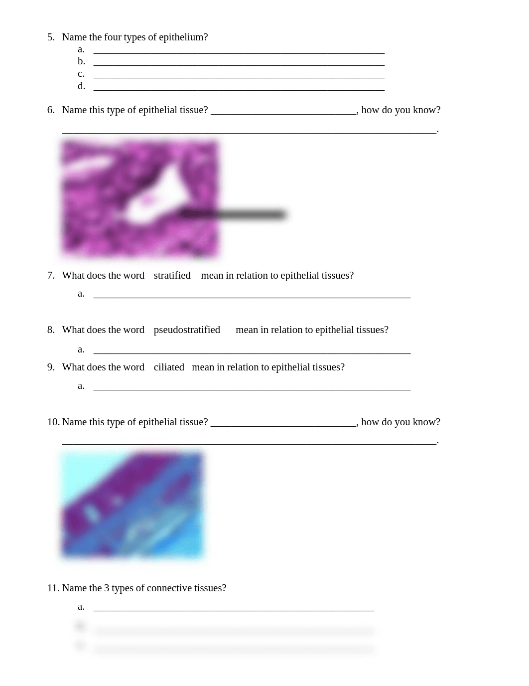 Lab Exam 1 Competency check bio 40.pdf_du49cxd5nn0_page2