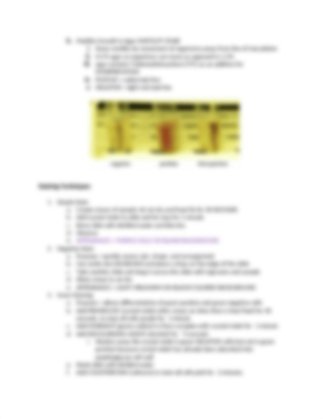 Lab Practical Study guide.docx_du4h5wlxd1j_page4