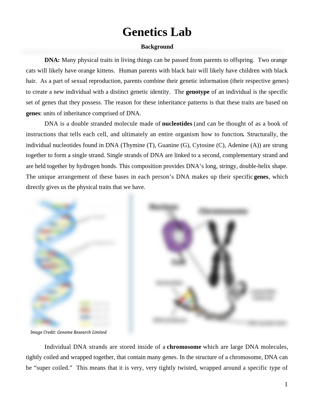 Backg_Pre-Lab_Lab Assig_Genetics (1).docx_du4hfhaet8r_page1