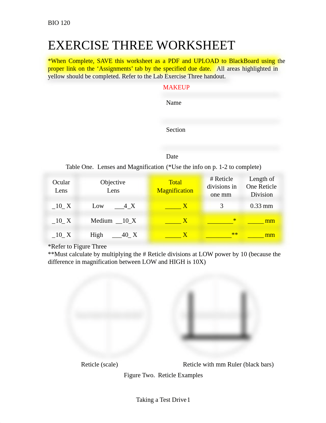 BIO120_Ex3MakeupWorksheet_F2020.pdf_du4k5tbh4h4_page1