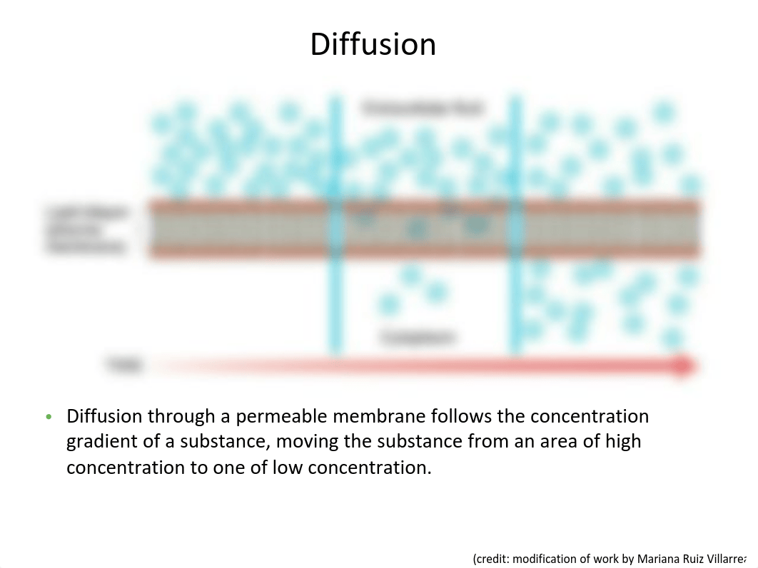 Chapter 3-Part2 Passive and Active Transport-HGY.pdf_du4l4vlqmme_page3