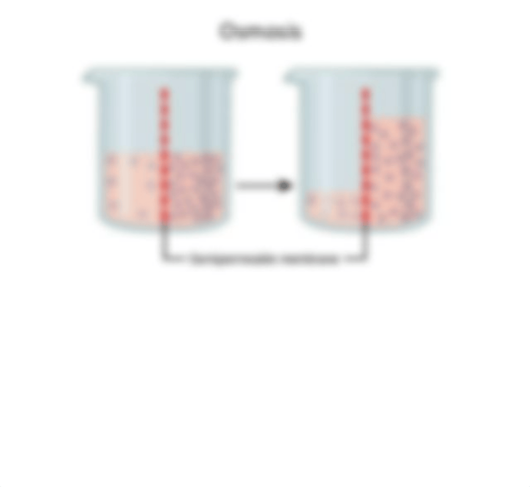 Chapter 3-Part2 Passive and Active Transport-HGY.pdf_du4l4vlqmme_page4