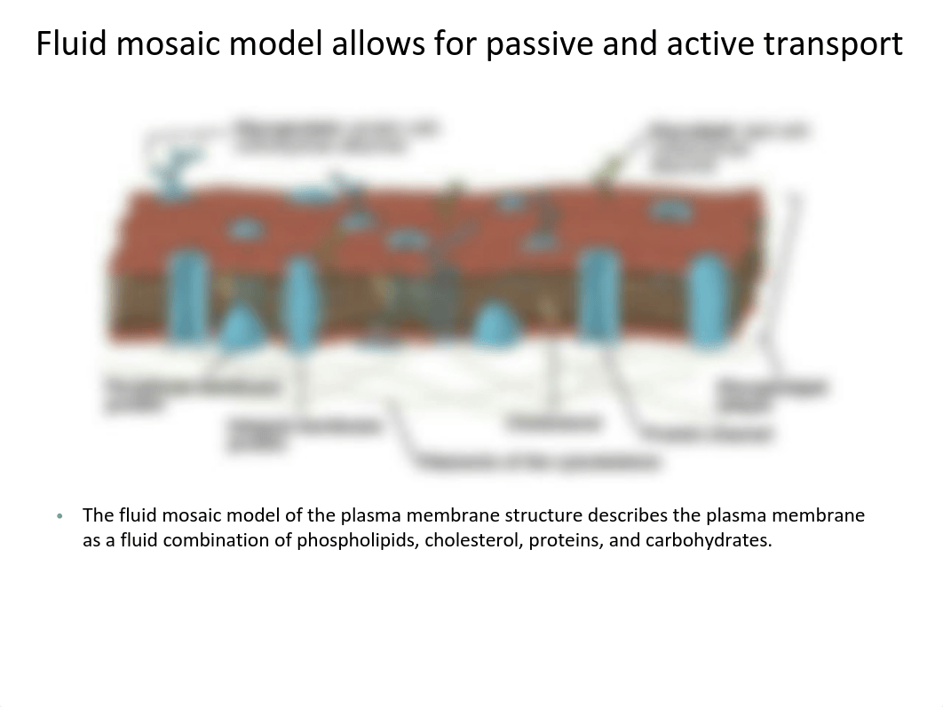 Chapter 3-Part2 Passive and Active Transport-HGY.pdf_du4l4vlqmme_page1