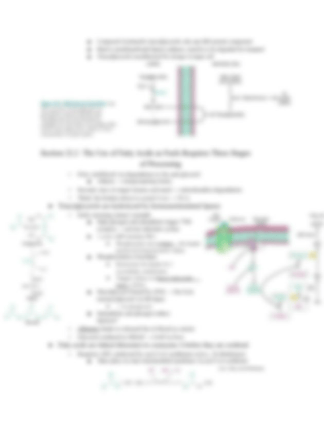 Biochemistry Berg 7e - Chapter 22 - Fatty Acid Metabolism_du4mvghkdqv_page2