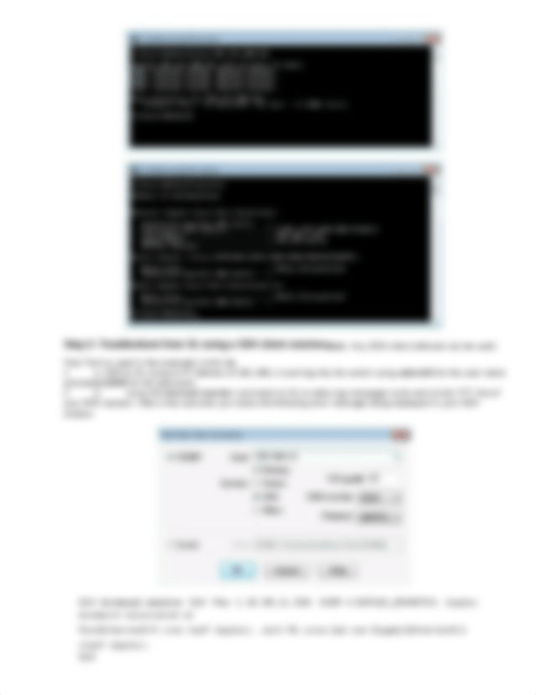 Troubleshooting Practice Lab.doc_du4wmwl70tr_page4