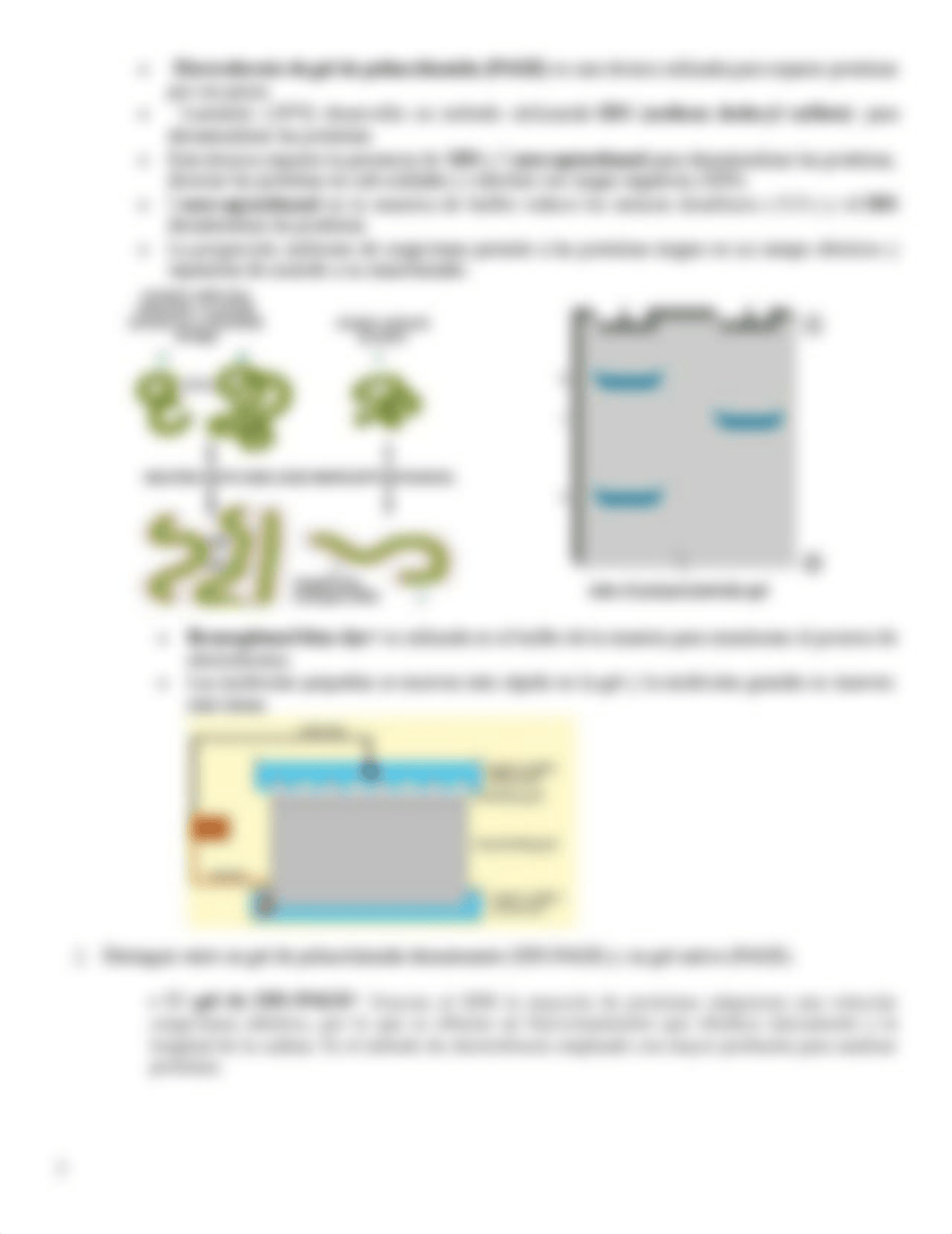 Repaso examen #1Lab Celular Molecular UPRB_du537npa56g_page3