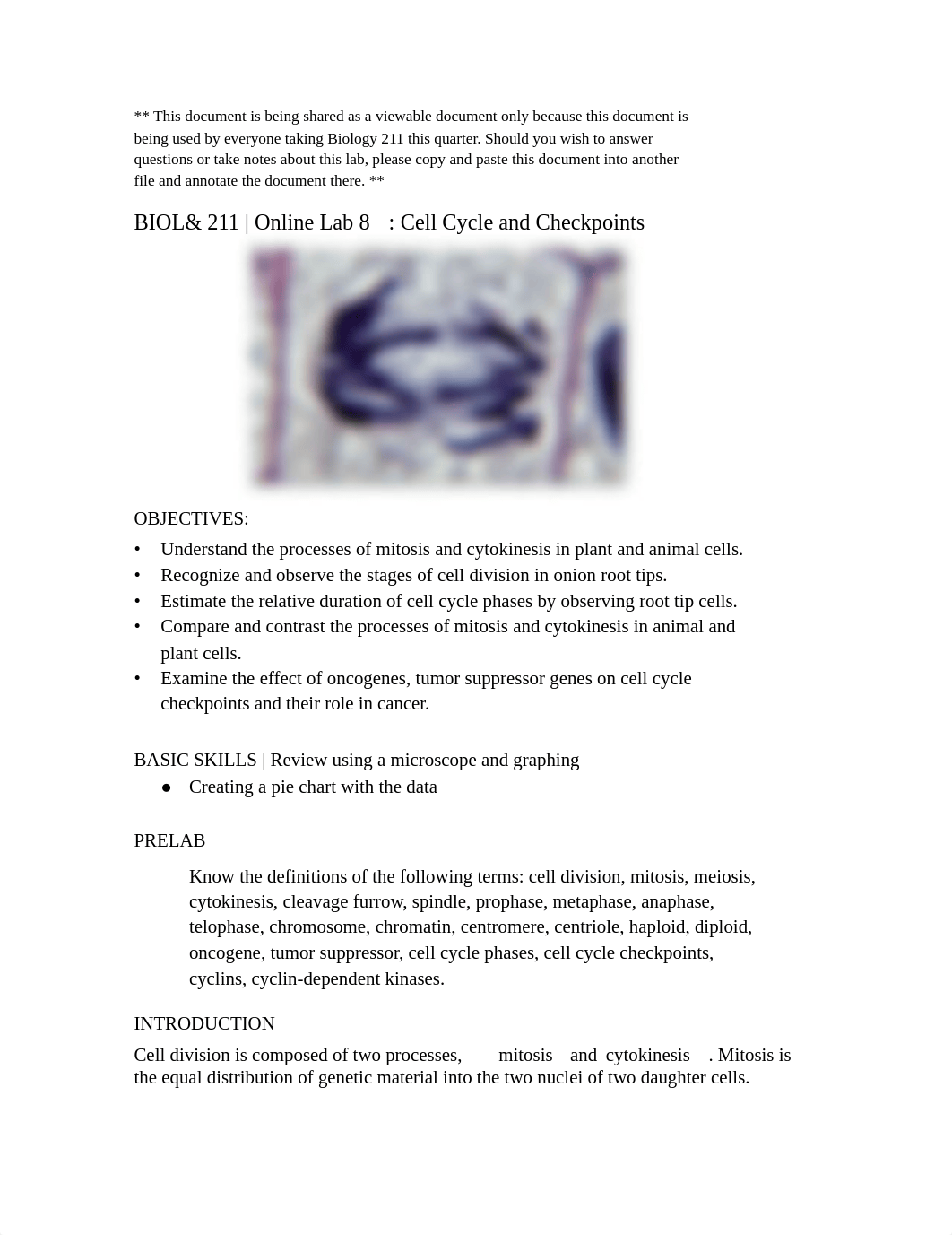 Lab 8 Cell Cycle and Checkpoints.pdf_du598ii0n8z_page1