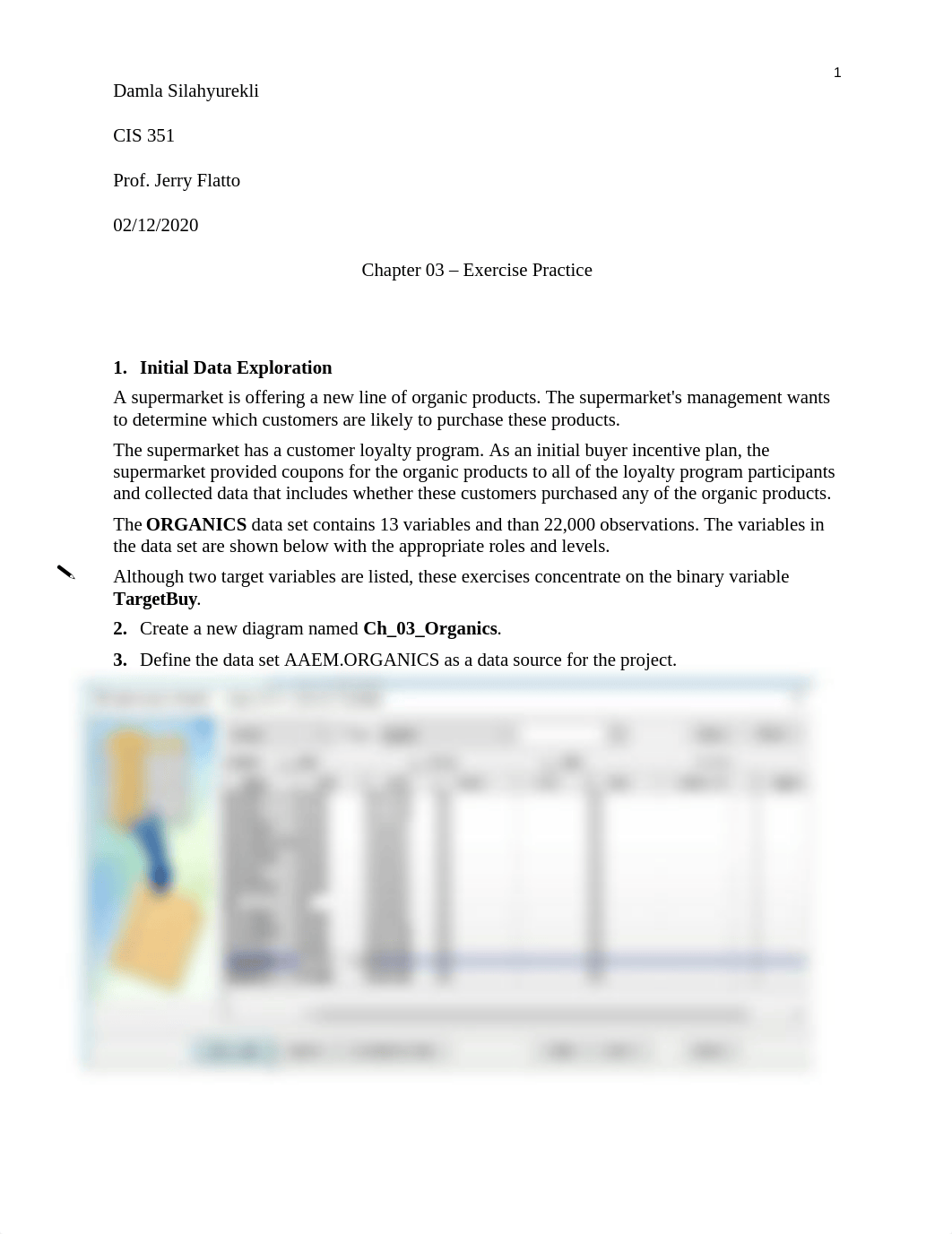 DamlaSilahyurekli-exercise-Ch 03.docx_du5cdihbqri_page1