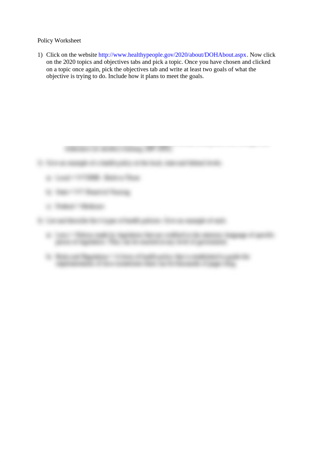 Policy Worksheet.docx_du5nflemcdn_page1