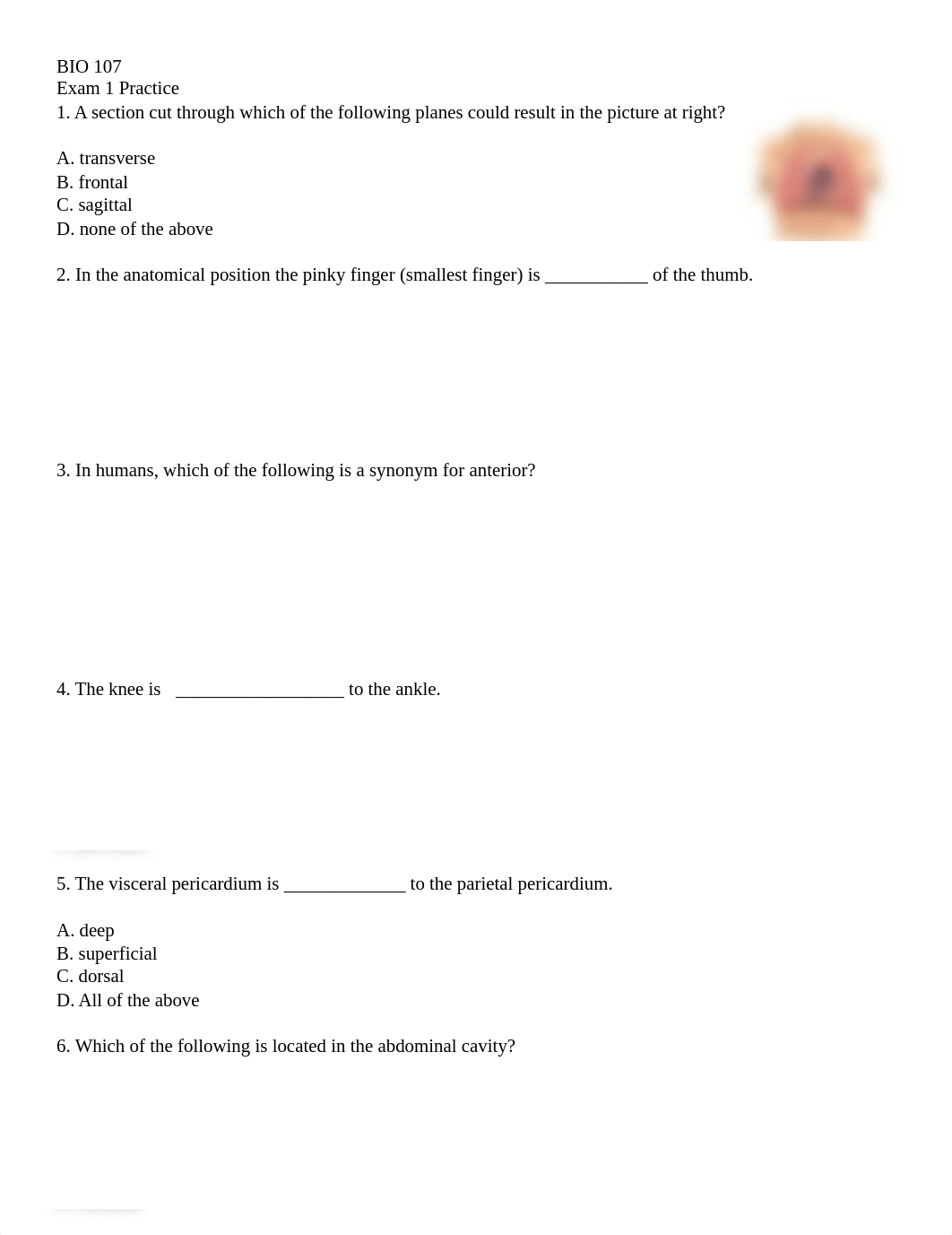 BIO Exam  1 PQ.pdf_du5s7xglkle_page1