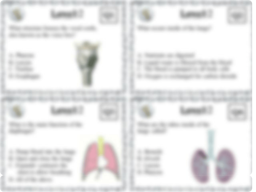 Respiratory Escape Room.pdf_du5sg2vsx3v_page4