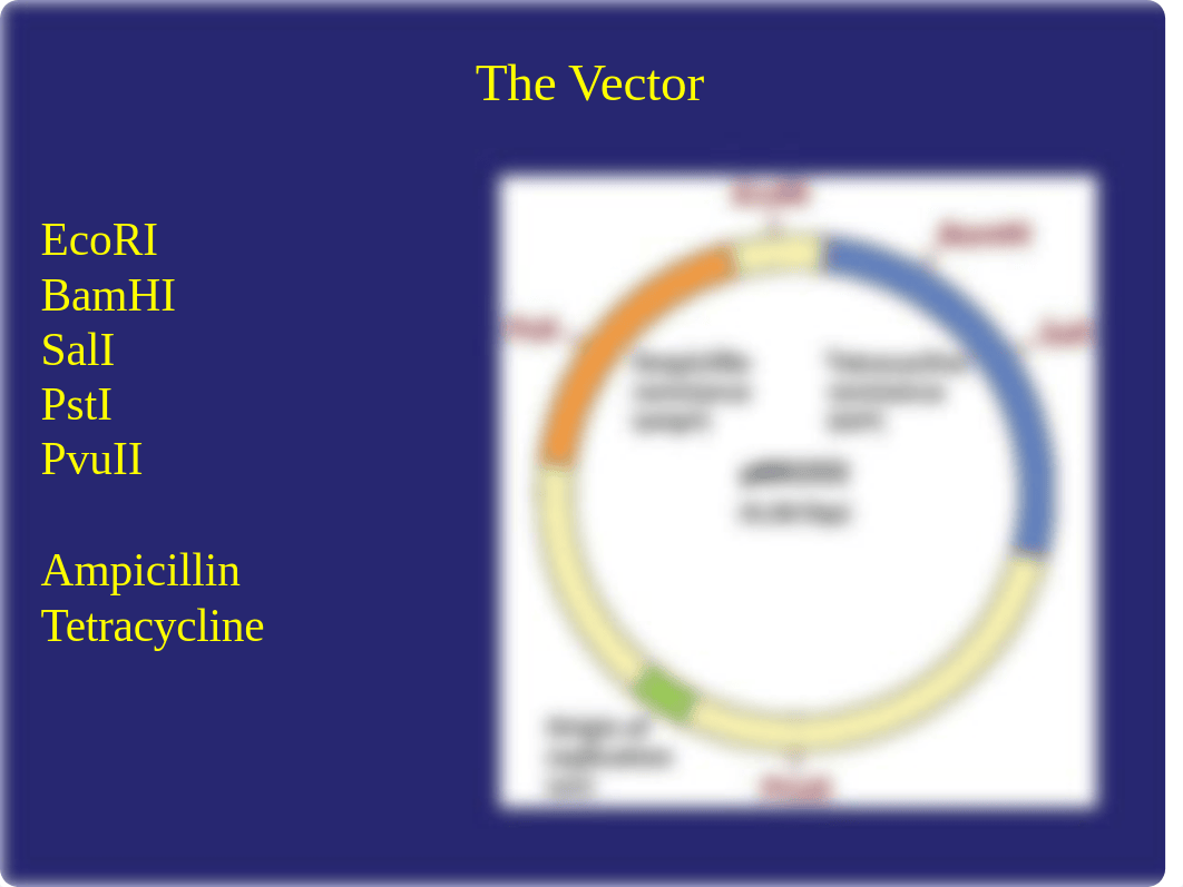 Lehninger Chapter 9 (2).ppt_du5uay1zjm7_page5