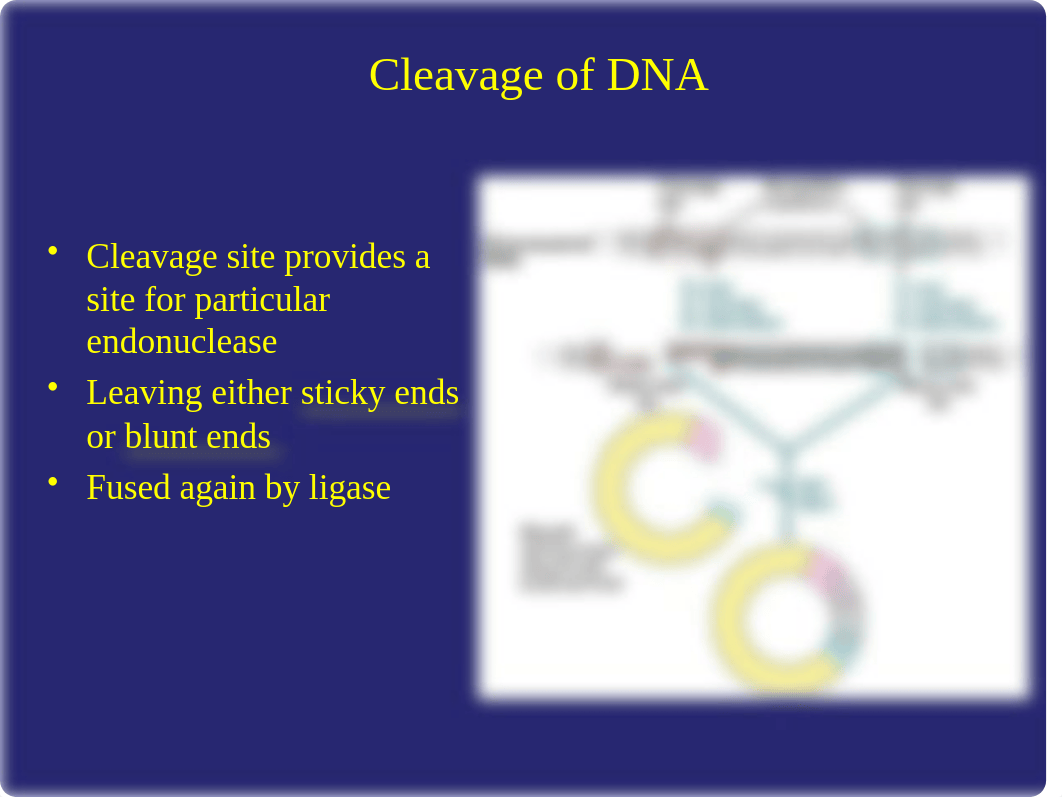 Lehninger Chapter 9 (2).ppt_du5uay1zjm7_page2