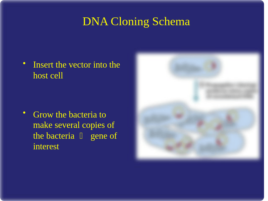 Lehninger Chapter 9 (2).ppt_du5uay1zjm7_page4