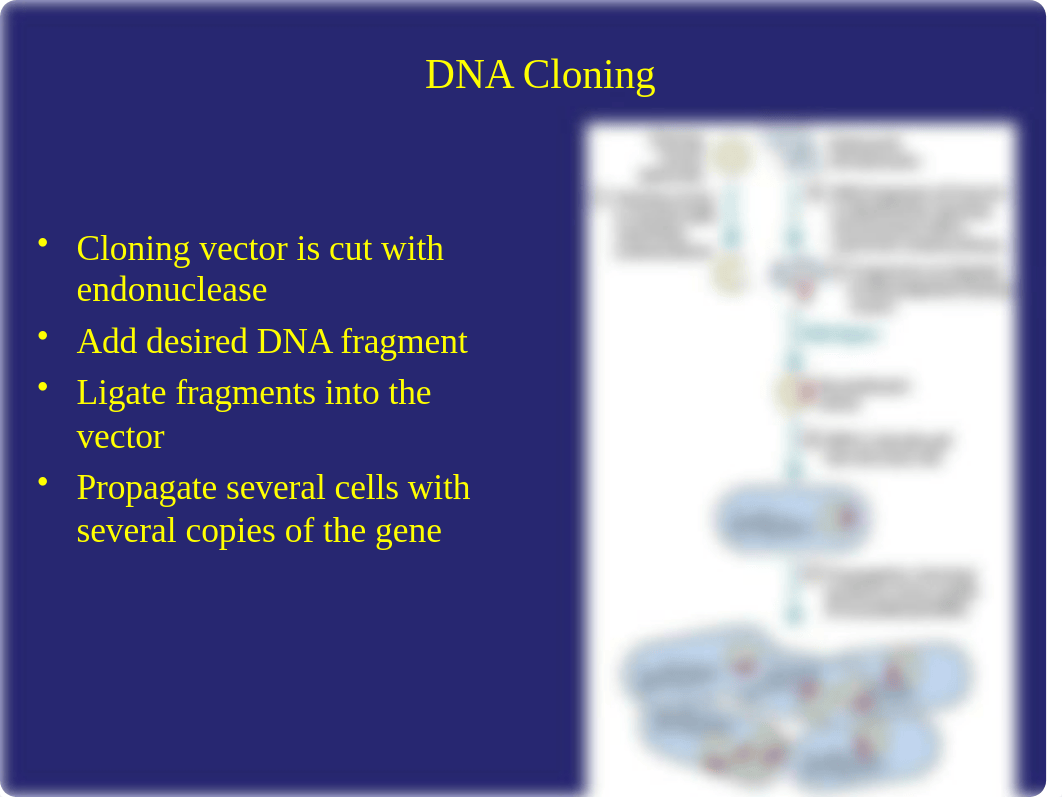 Lehninger Chapter 9 (2).ppt_du5uay1zjm7_page1