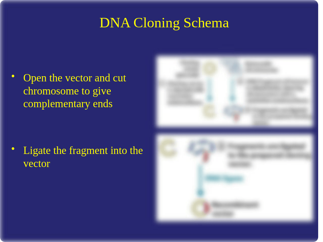 Lehninger Chapter 9 (2).ppt_du5uay1zjm7_page3