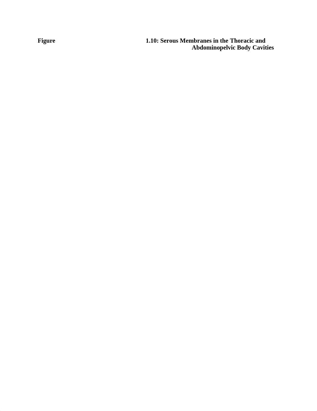 Figure 1.10 Serous Membranes in the Thoracic and Abdominopelvic Body Cavities_du60nrxccsu_page1