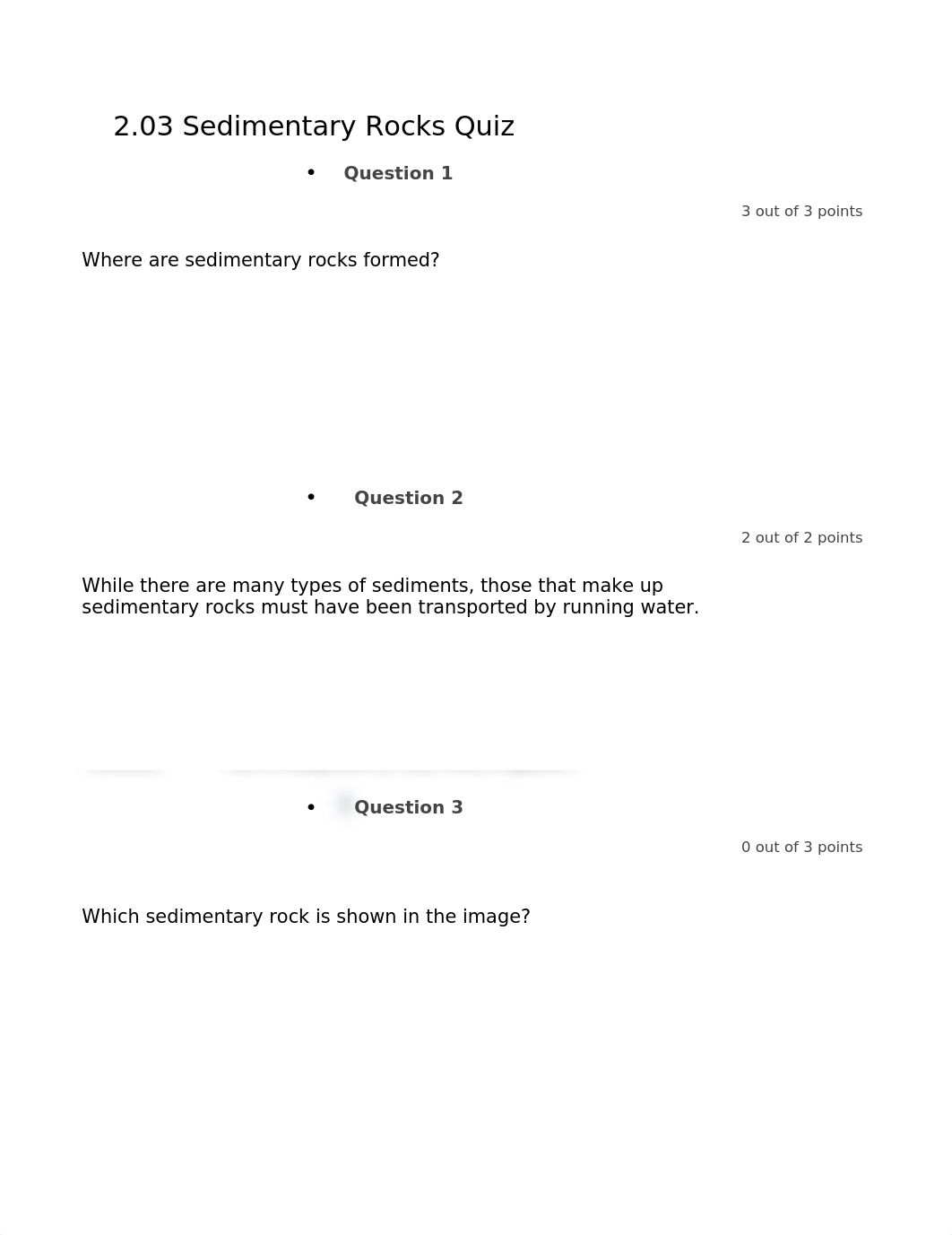 2.03 Sedimentary Rocks Quiz.docx_du6107ju58h_page1