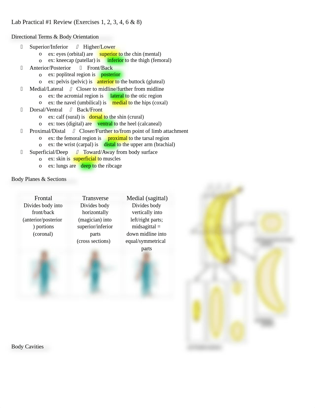 Lab.docx_du6712o4k78_page2