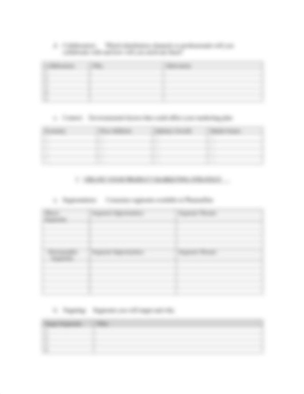 pharmasim_preliminary_mktgplantemplate_du6ihrwtqpw_page2