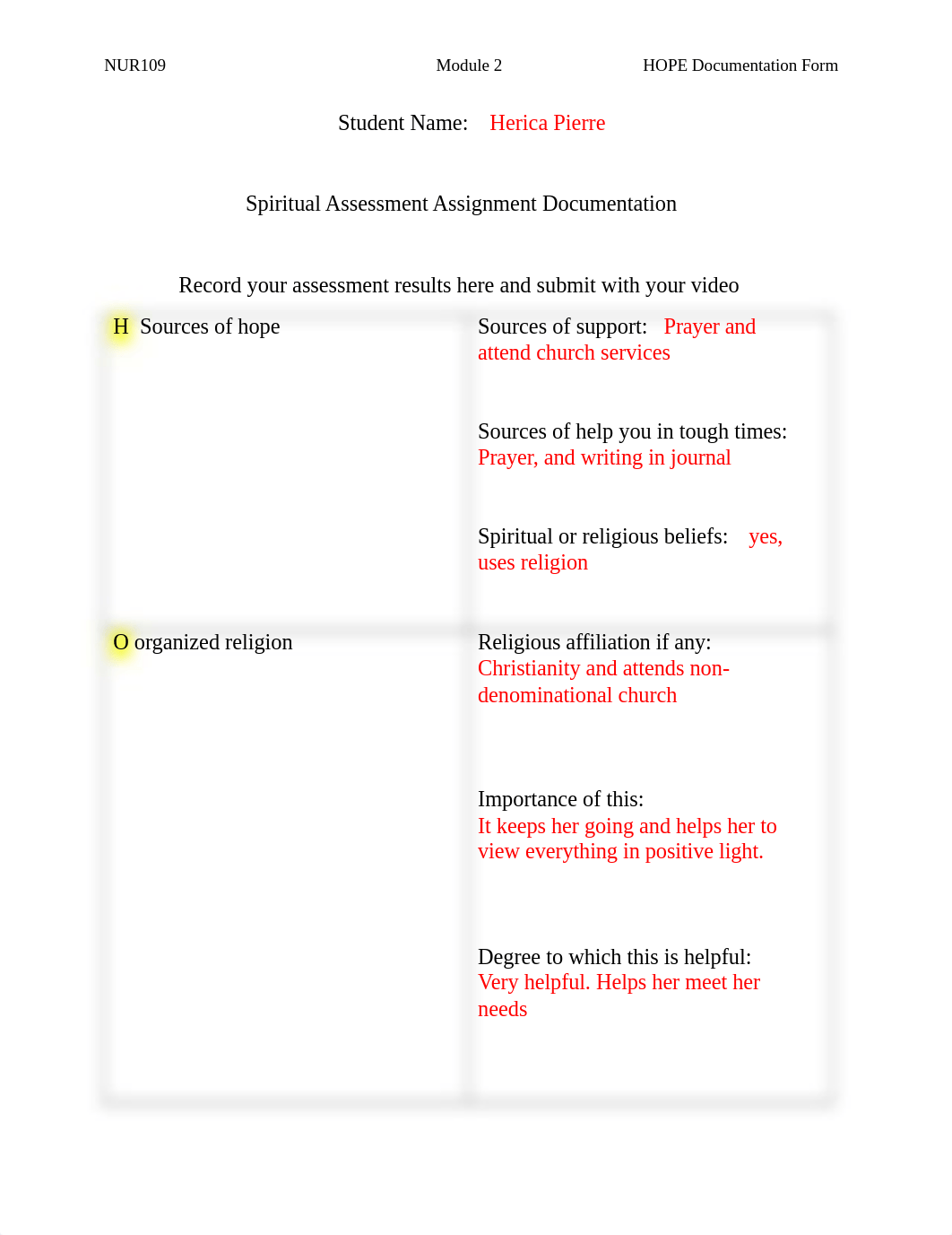 HOPE documentation form.docx_du6lmvh3wqu_page1