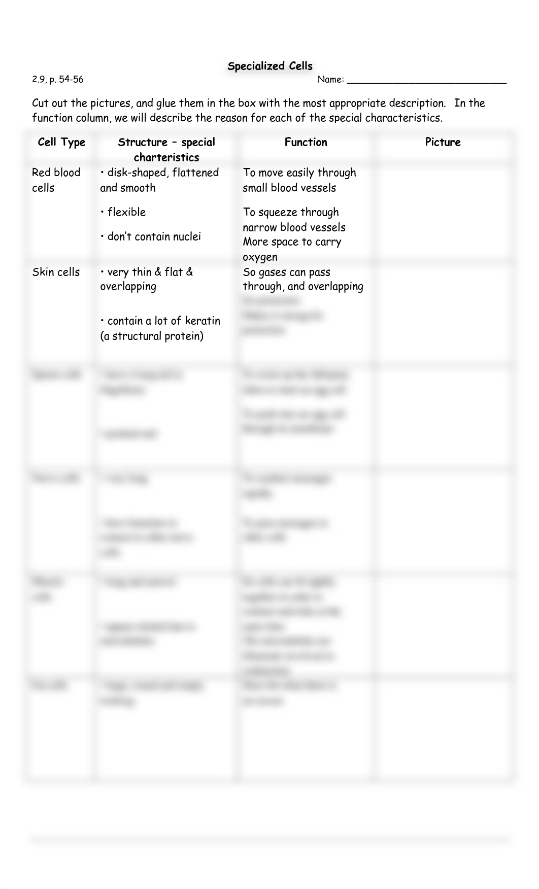 Specialized Cells Student Worksheet_du6lpk0qcm4_page1