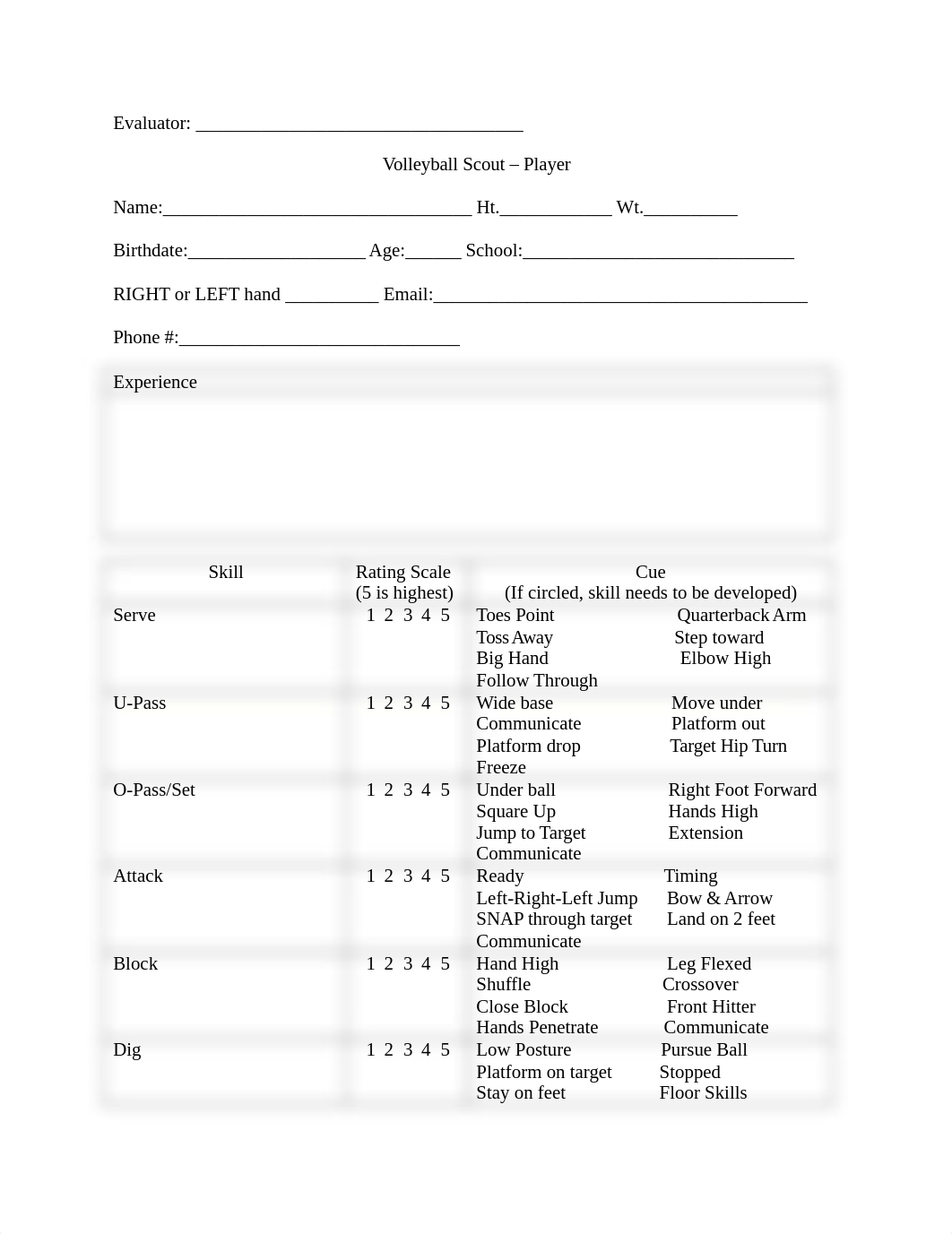 Volleyball Scouting Report.docx_du6njzz887f_page1