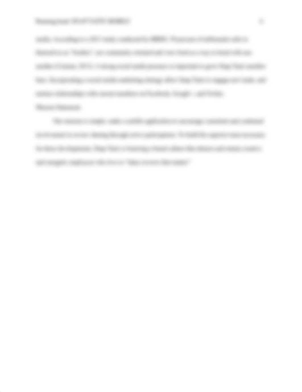 MKT-500 SNHU Marketing Strategies Milestone 2_du6s2389xee_page3