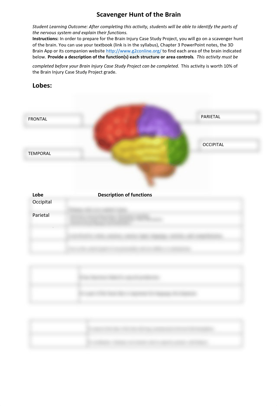 Scavenger Hunt of the Brain.pdf_du6swi8i2o2_page1