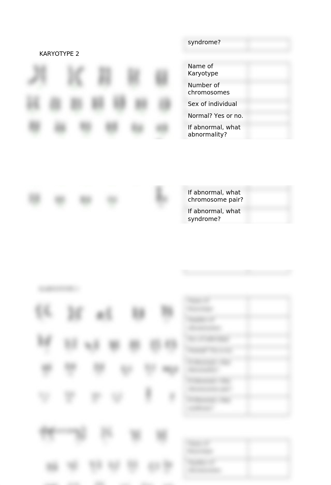 Karyotypes.docx_du6w9f7ozik_page2