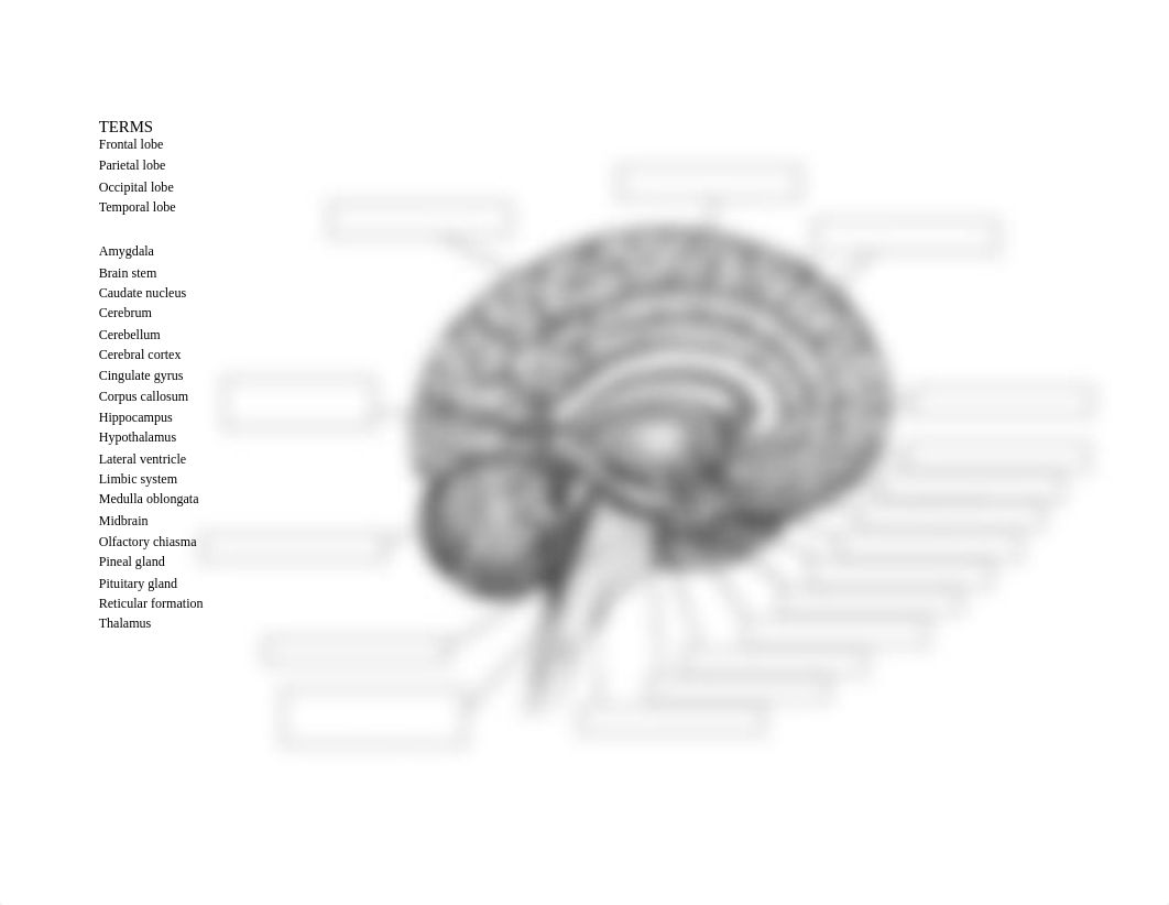 Mapping the Brain.pdf_du72mepo80e_page2