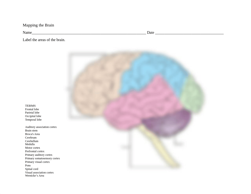 Mapping the Brain.pdf_du72mepo80e_page1