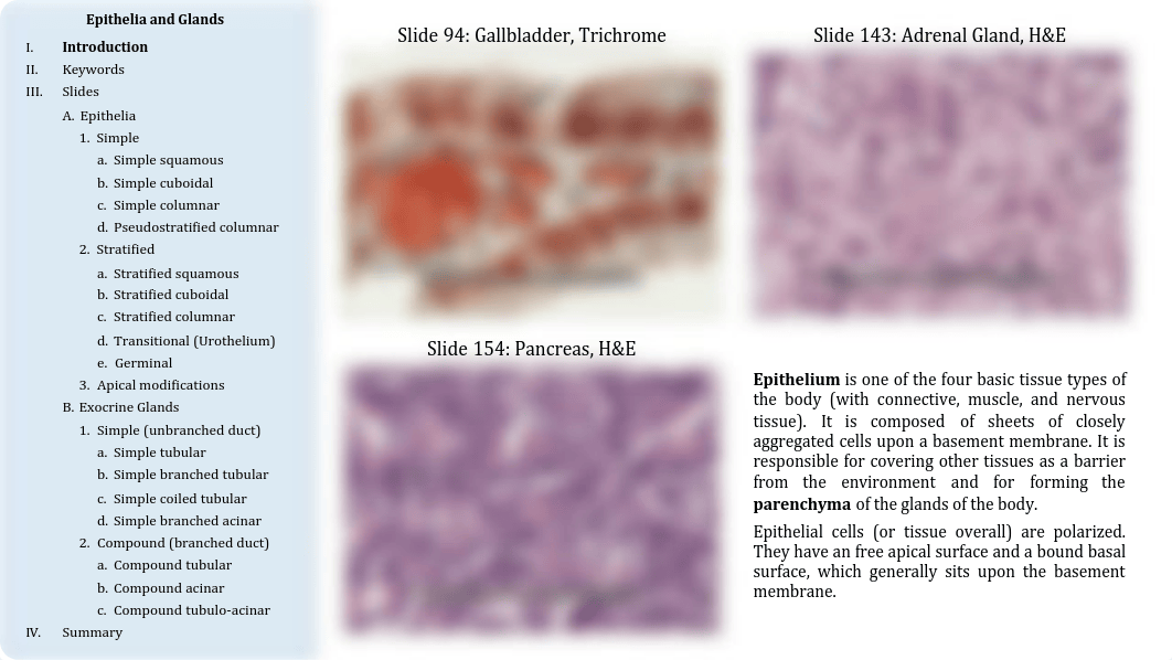 02 - Epithelia.pdf_du759wbn6fi_page2