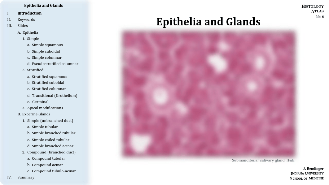 02 - Epithelia.pdf_du759wbn6fi_page1