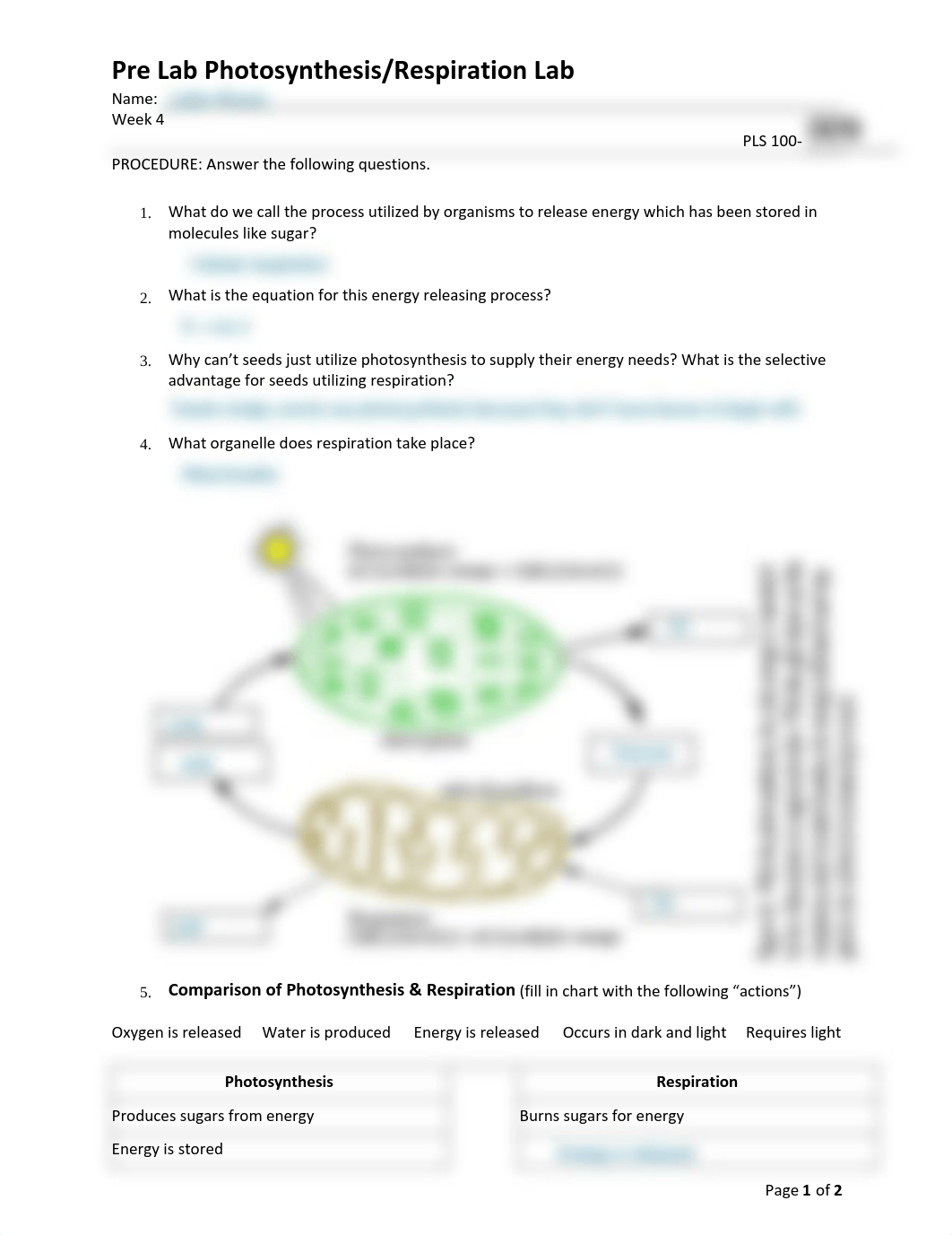 annotated-Pre%20Lab%20Photosynthesis%20and%20Respiration%20Fillable.pdf_du7bkwm5ai8_page1