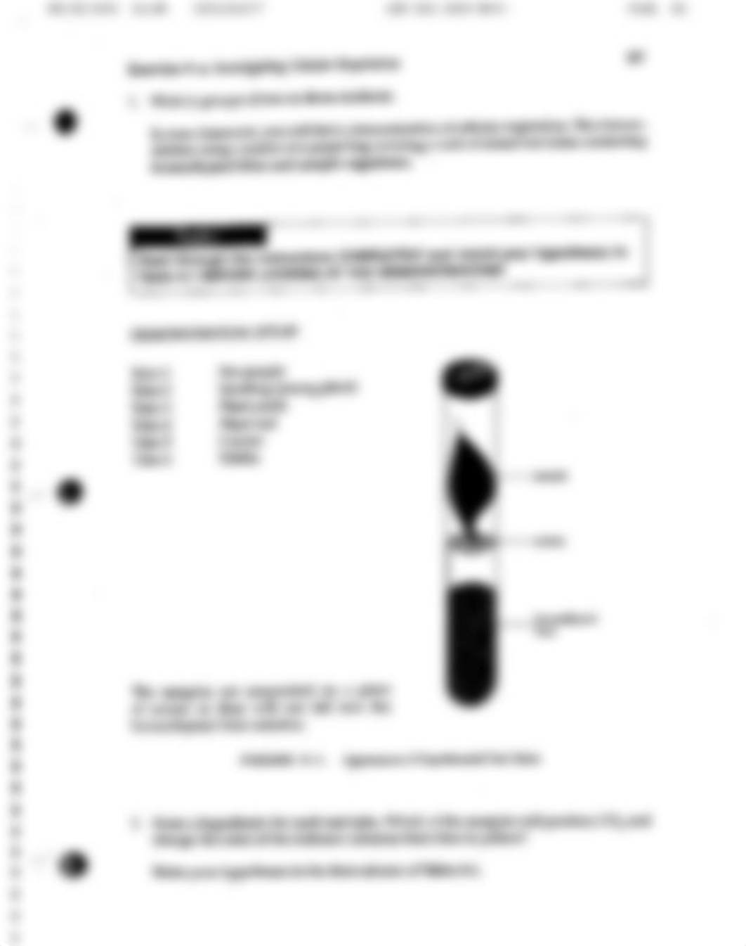 Lab 4 Investigating Cellular Respiration.pdf_du7c9p1l7br_page3