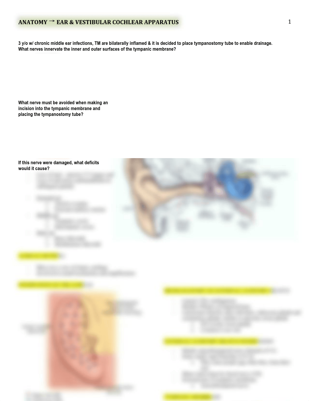 Anatomy - Ear and Vestibule - BL_du7clzuron3_page1