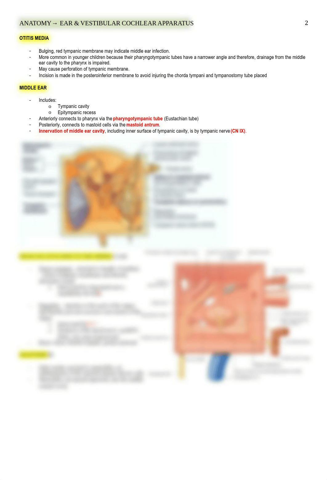 Anatomy - Ear and Vestibule - BL_du7clzuron3_page2