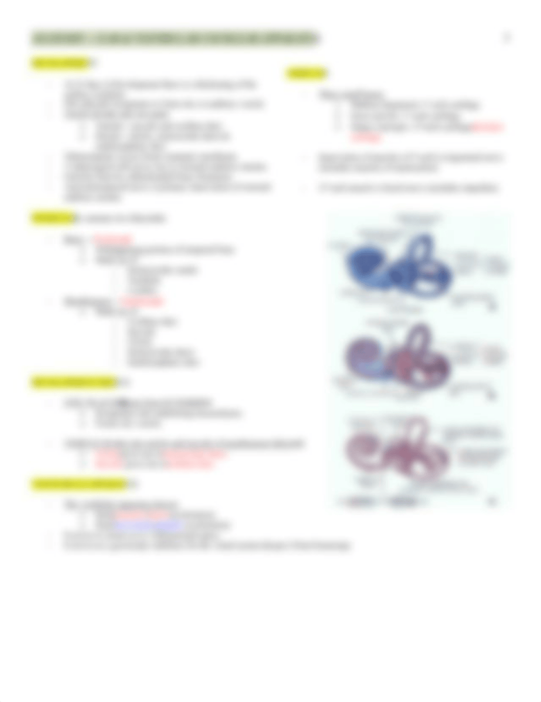 Anatomy - Ear and Vestibule - BL_du7clzuron3_page3