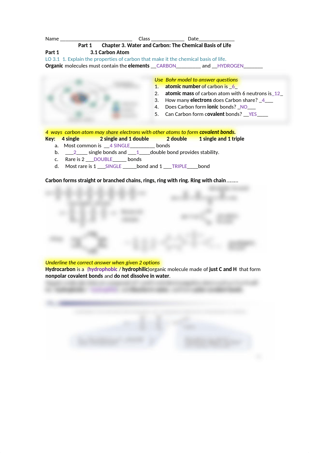 COMPLETED guide  3 part 1 New revised fall 2021 Brooker 5th  carbon chemical basis of life .docx_du7gzdcrzvr_page1