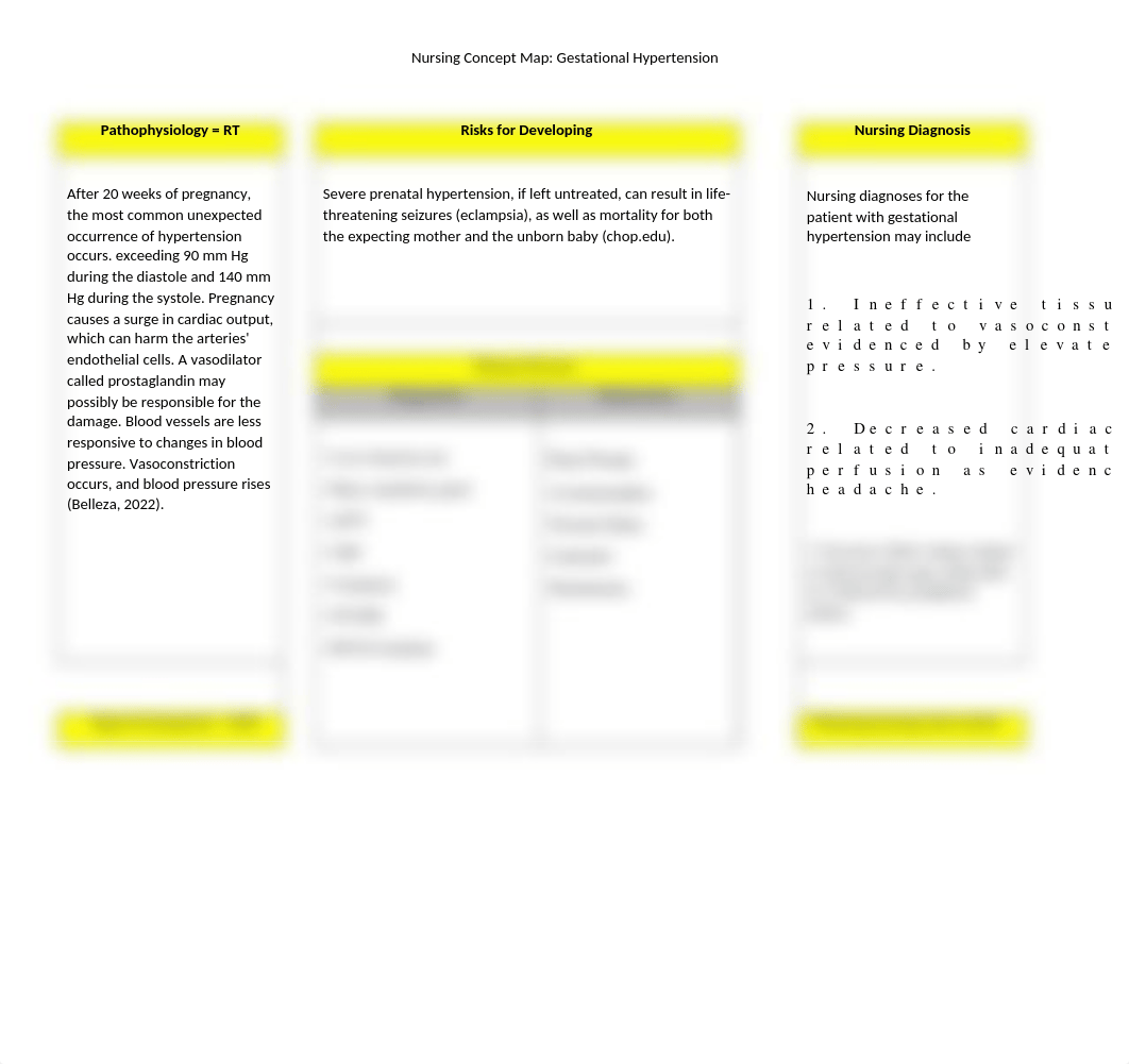 Hope Gallagher_Nursing Concept Maps.docx_du7lt96ledu_page1