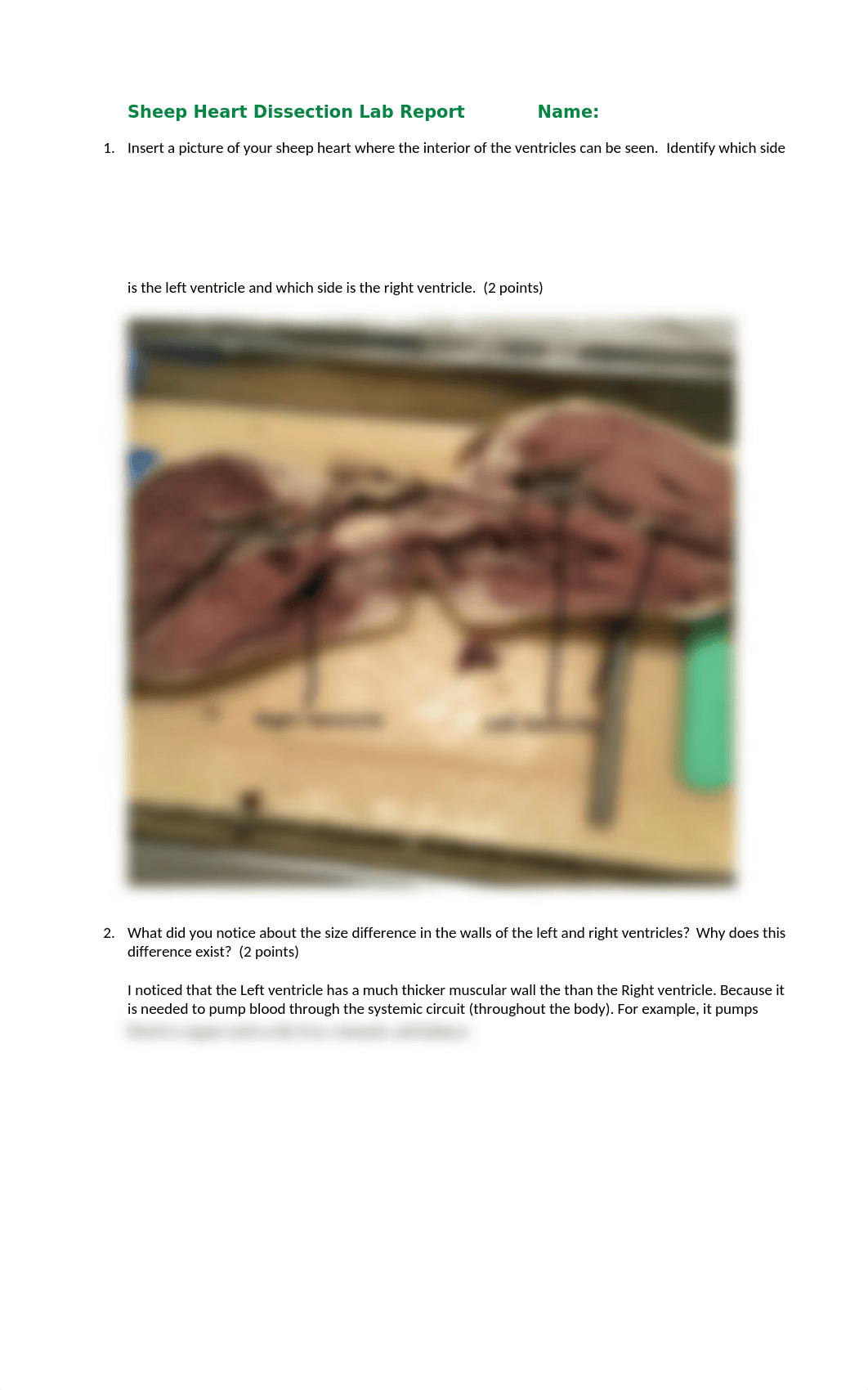 Olivia Martinez Sheep Heart Lab Report.doc_du7lyekxkl4_page1