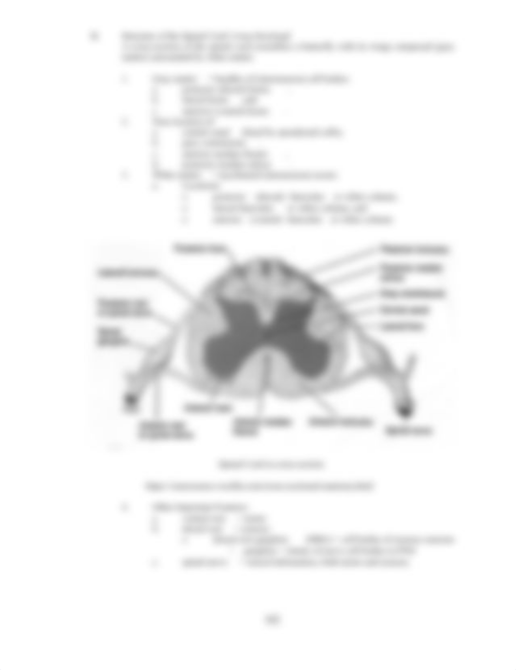 AP1-Lab12-Spinal-Cord-and-Spinal-Nerves-FA2020.docx_du7o5p8t1n8_page2