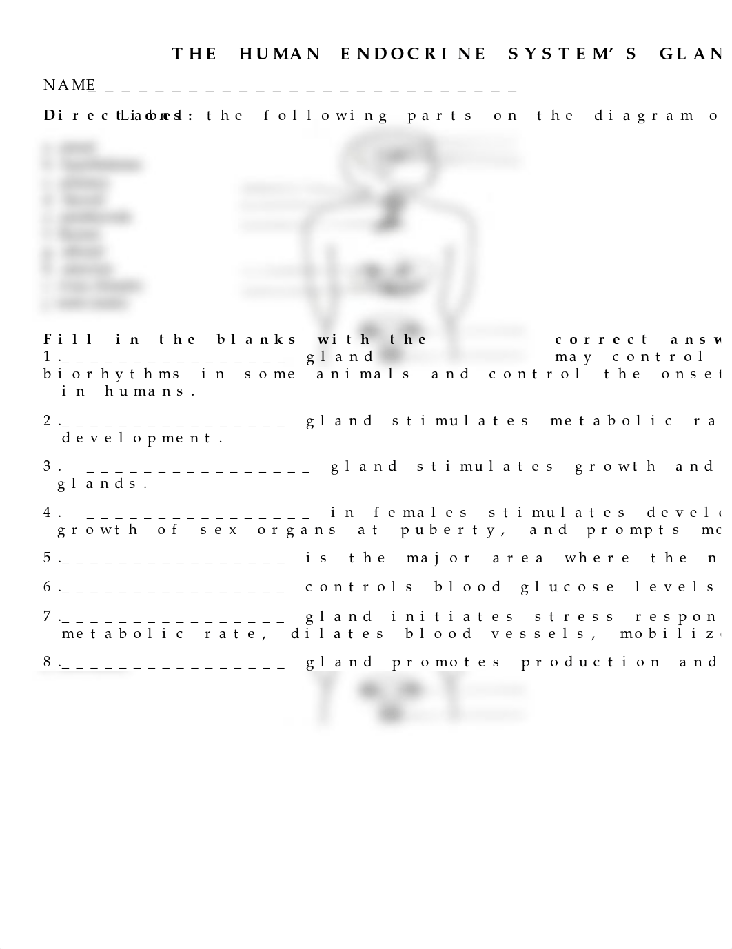 THE HUMAN ENDOCRINE SYSTEM'S GLANDS WORKSHEET (2).doc_du7vq6hwboq_page1