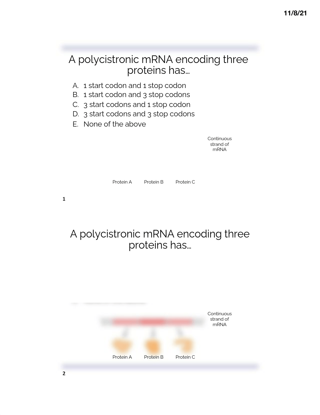 CQs Week 7 - Gene Expression in Prokaryotes and Eukaryotes F21.pdf_du831y81iki_page1